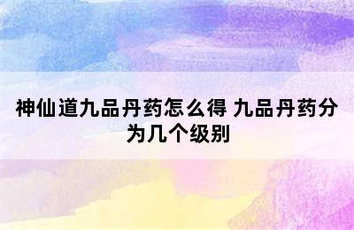 神仙道九品丹药怎么得 九品丹药分为几个级别